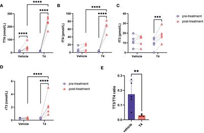 Low thyroxine serves as an upstream regulator of ecophysiological adaptations in Ansell’s mole-rats